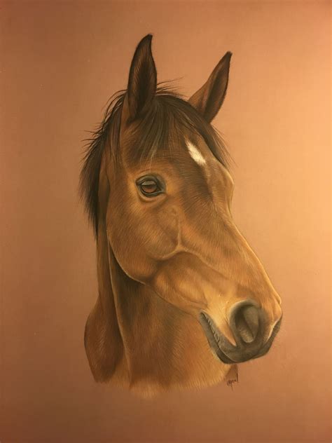 Art of zoo horse